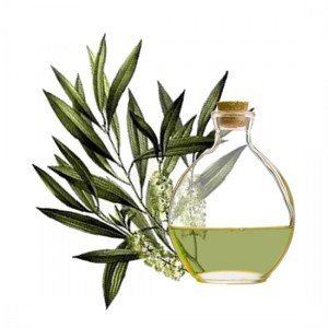 aceite esencial de arbol de té aceite esencial de arbol de té