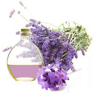 aceite esencial de lavanda aceite esencial de lavanda