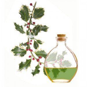 Aceite de Masaje Reductor Aceite de Masaje Reductor