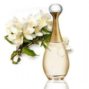 Champú de nuestro perfume favorito Champú de nuestro perfume favorito