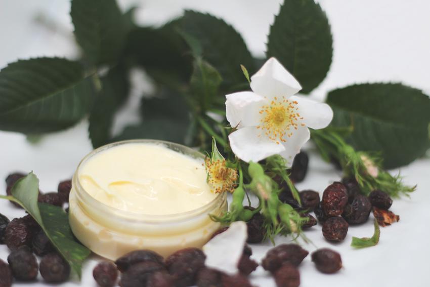 Aprende a hacer crema de rosa mosqueta paso a paso