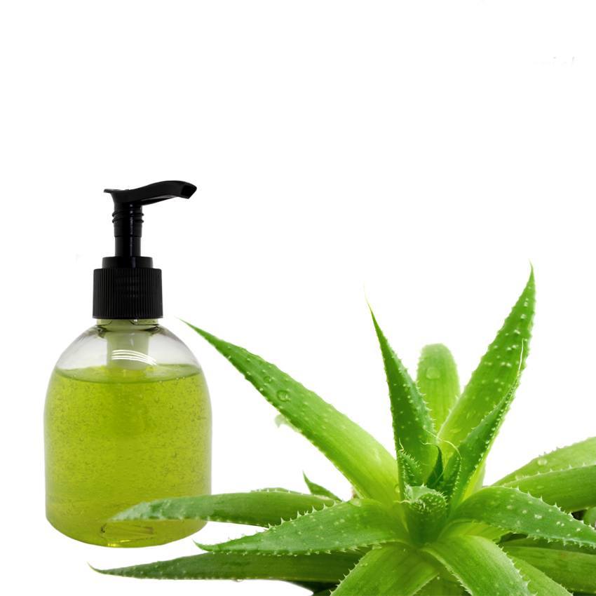 Hacer Gel de Aloe Vera Concentrado