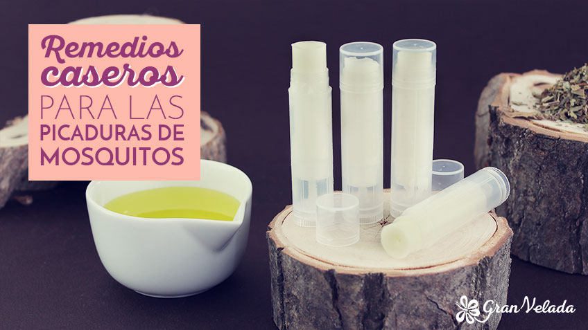 remedios caseros para las picaduras de mosquitos