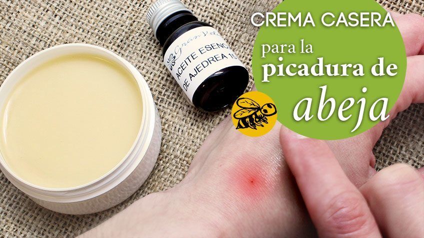 Pomada para picadura insectos casera. Crema casera para aliviar dolor.