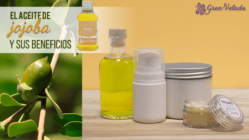 el aceite de jojoba y sus beneficios e1484299256474