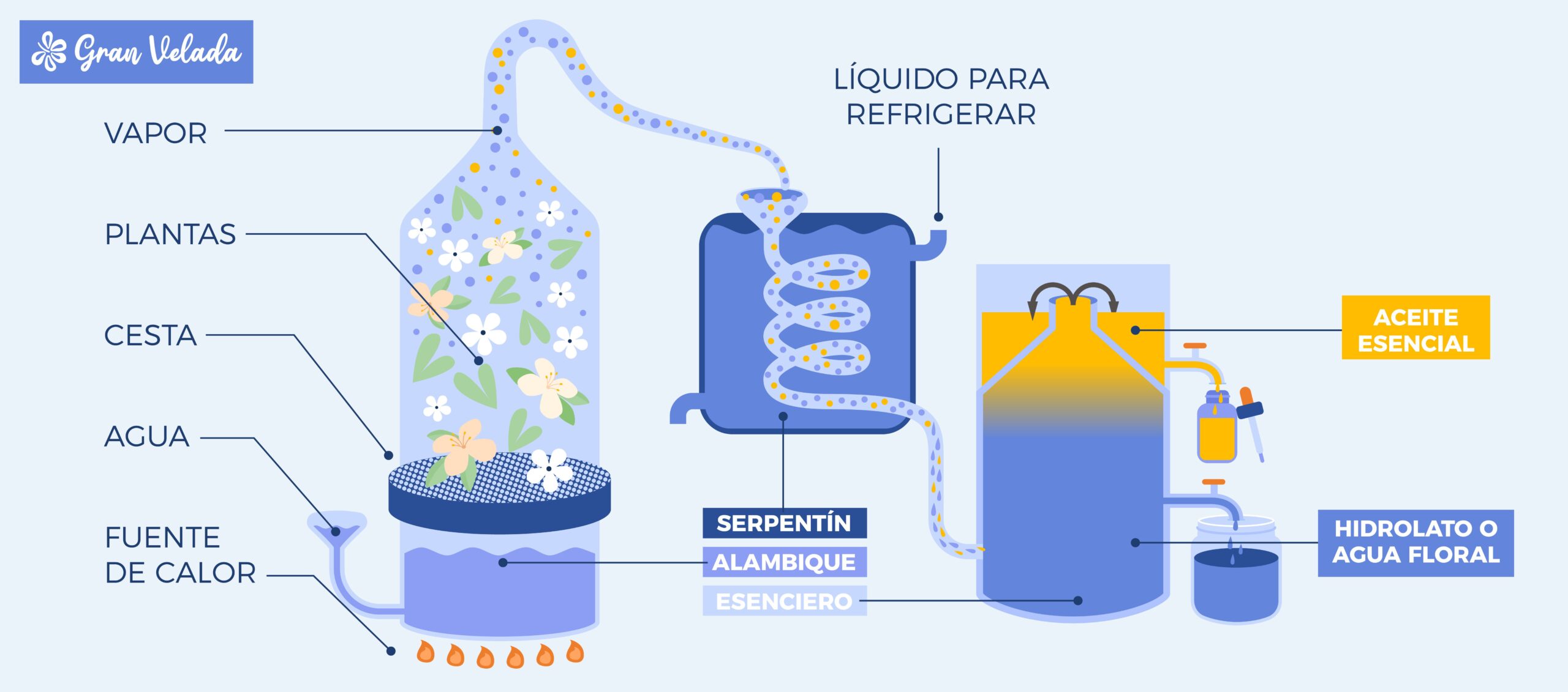 como se obtienen los aceites esenciales